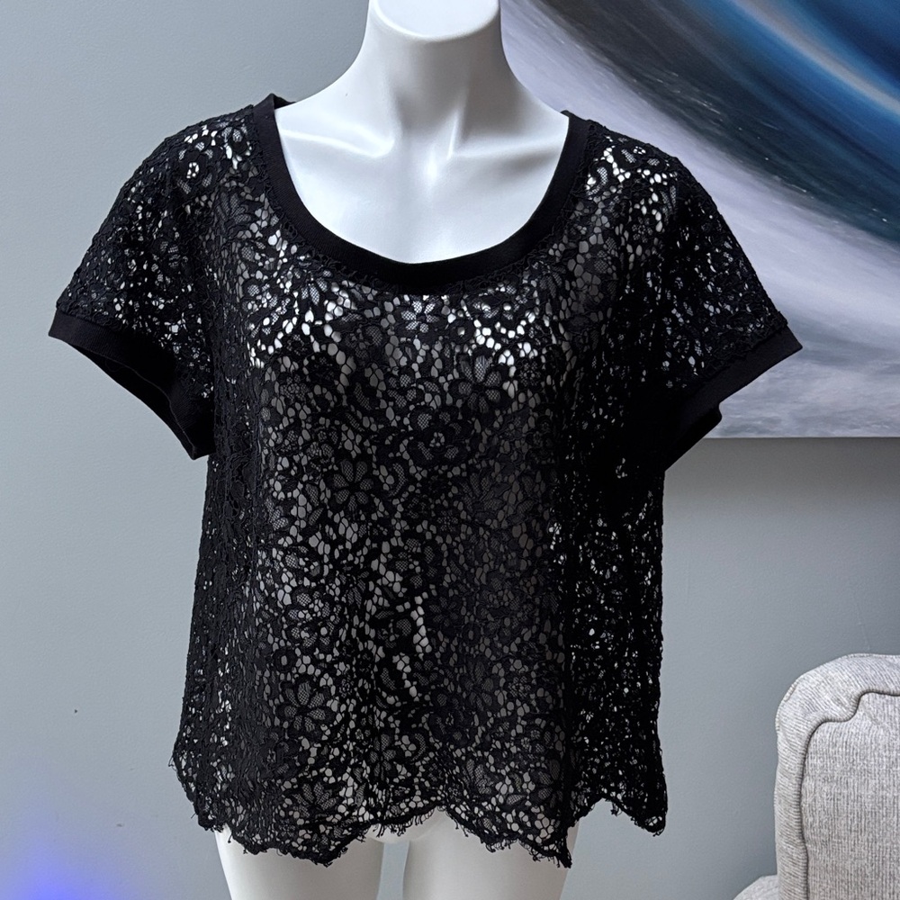 Torrid Elegant Black Lace Women’s Top